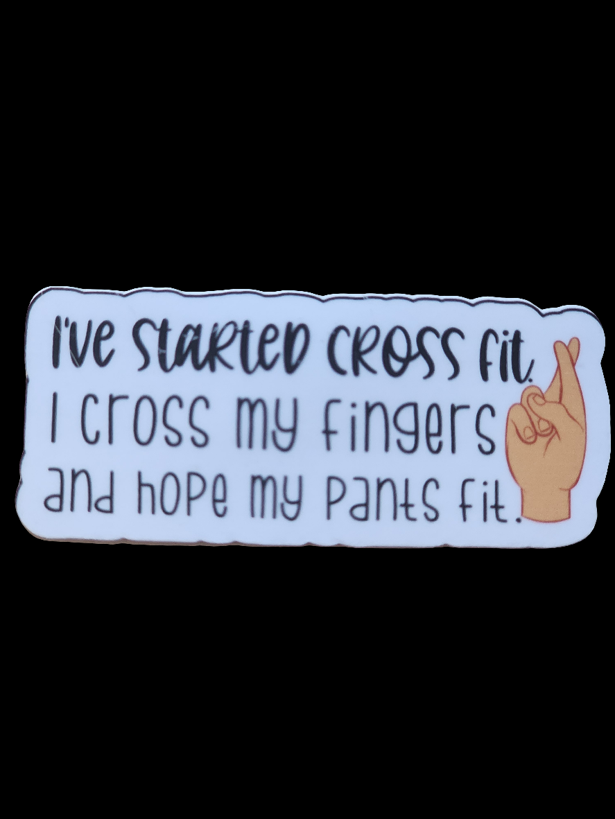 Funny Sarcastic Dieting Stickers